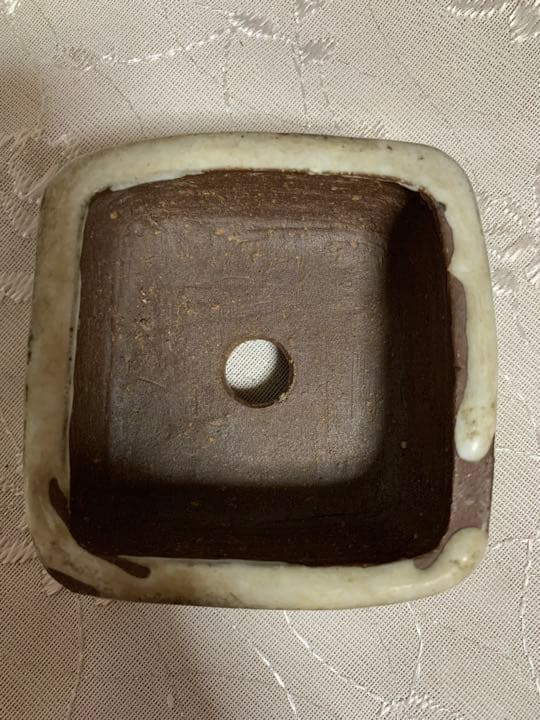 雀子　正方　盆栽鉢