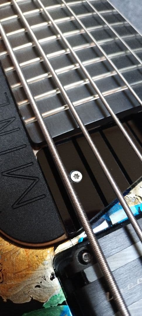 EGO Guitar EGO Bass Mine 6 (ヘッドレス 6弦ベース)