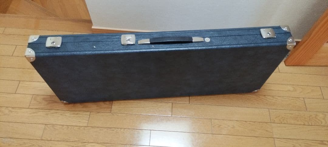 EGO Guitar EGO Bass Mine 6 (ヘッドレス 6弦ベース)