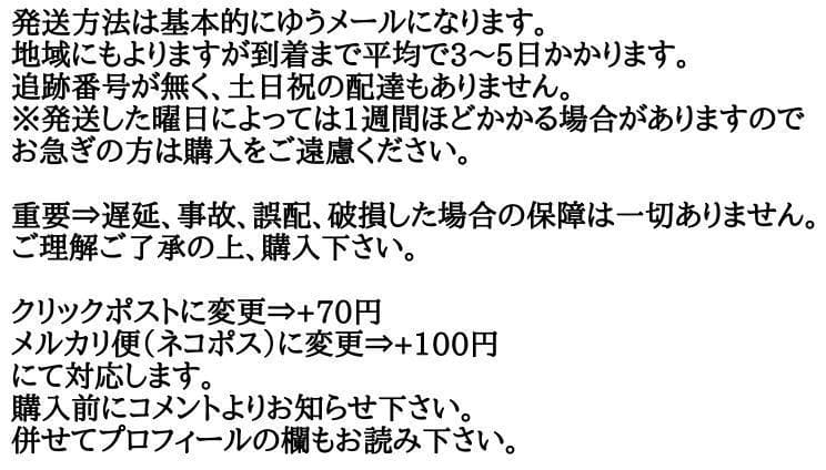 ミュージック S.Q.F / LIVE FLASH MASCHERA michi.