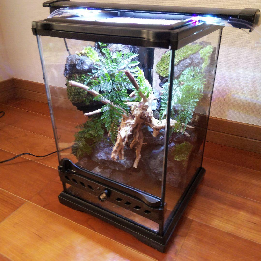 【受注生産】滝の流れるアクアテラリウム　テラリウム　苔　イモリウム