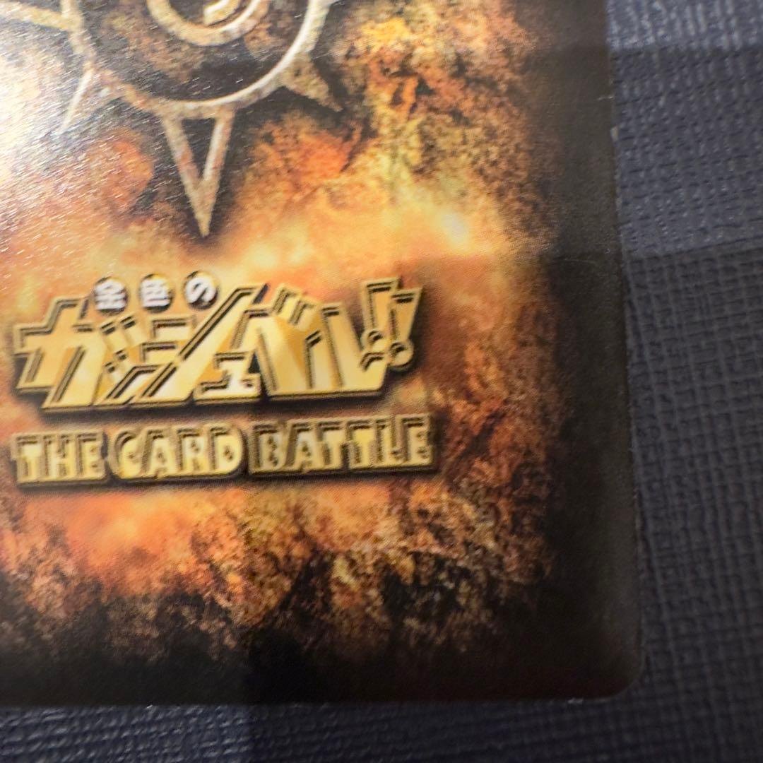 バリー　大きな背中　M-454 H魔物