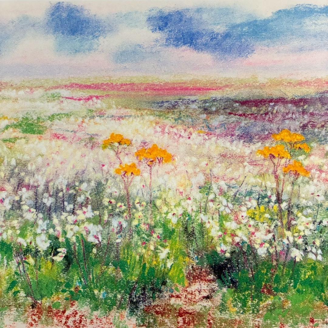 美品 ナターレ・アダミアーノ「白い花畑」リトグラフ 直筆サイン入り お洒落な額装