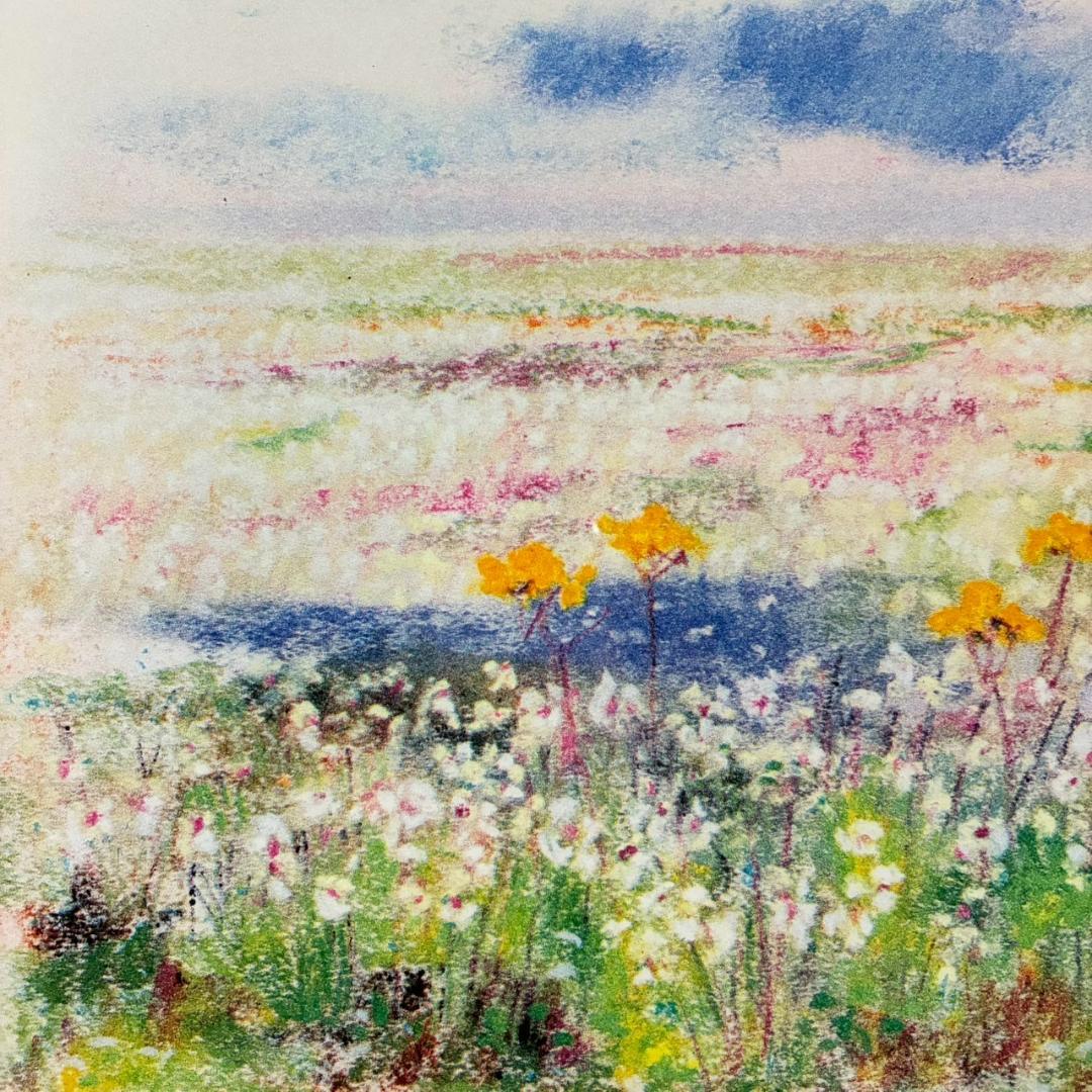 美品 ナターレ・アダミアーノ「白い花畑」リトグラフ 直筆サイン入り お洒落な額装