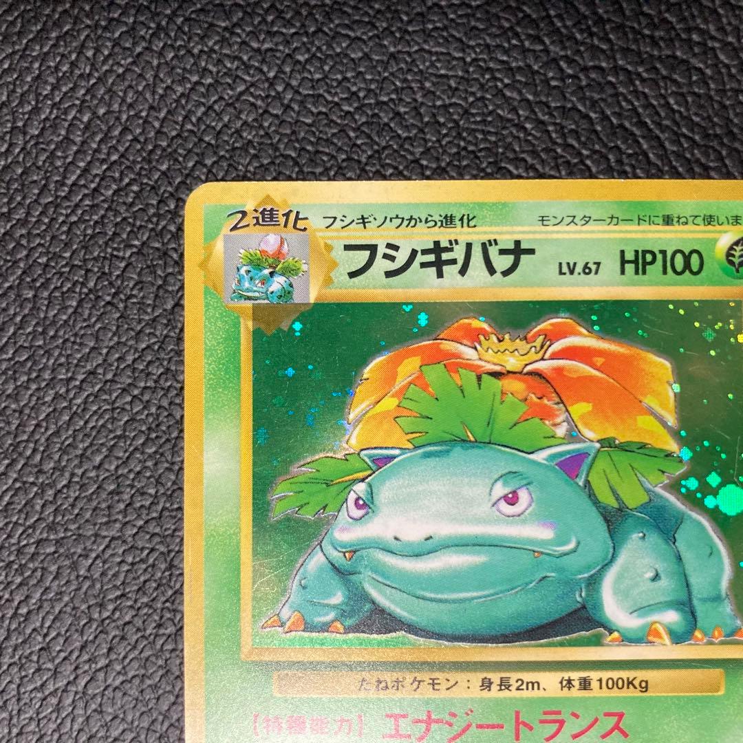 フシギバナ 初版　旧裏　マーク無し