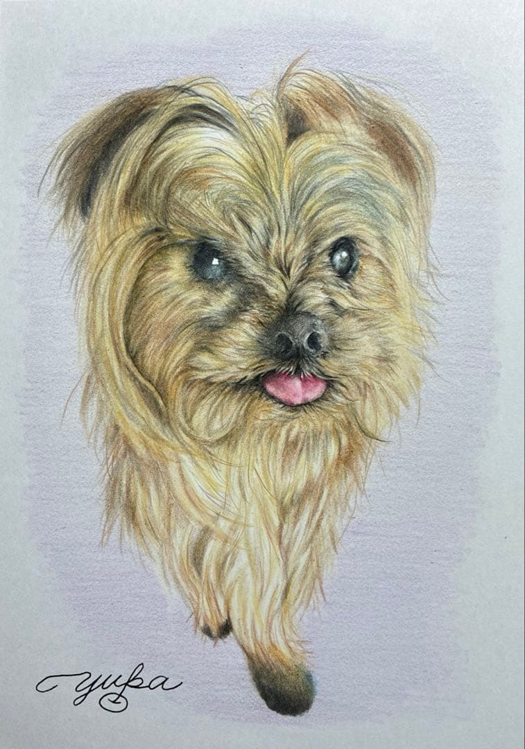 オーダー画　今週セール！！