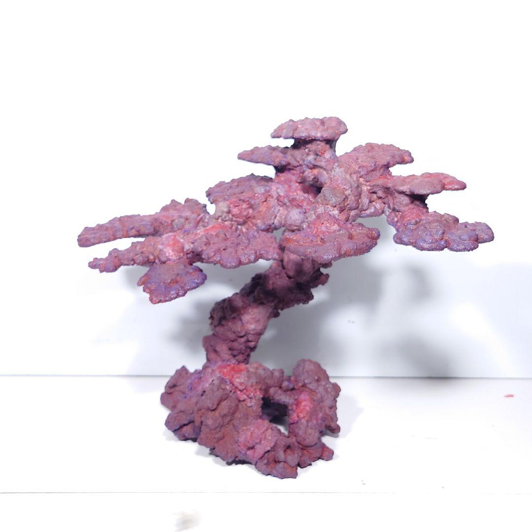 人工ライブロック《ZN-008》