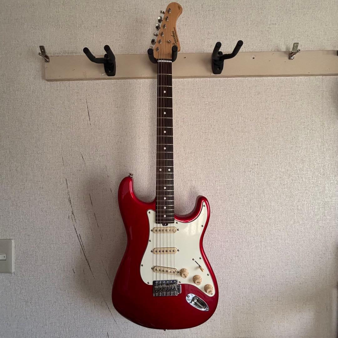 さ*こ様 Bacchas グローバルシリーズ　BST-500G CAR