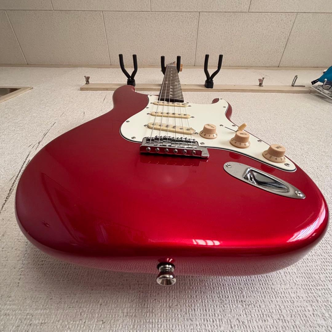 さ*こ様 Bacchas グローバルシリーズ　BST-500G CAR