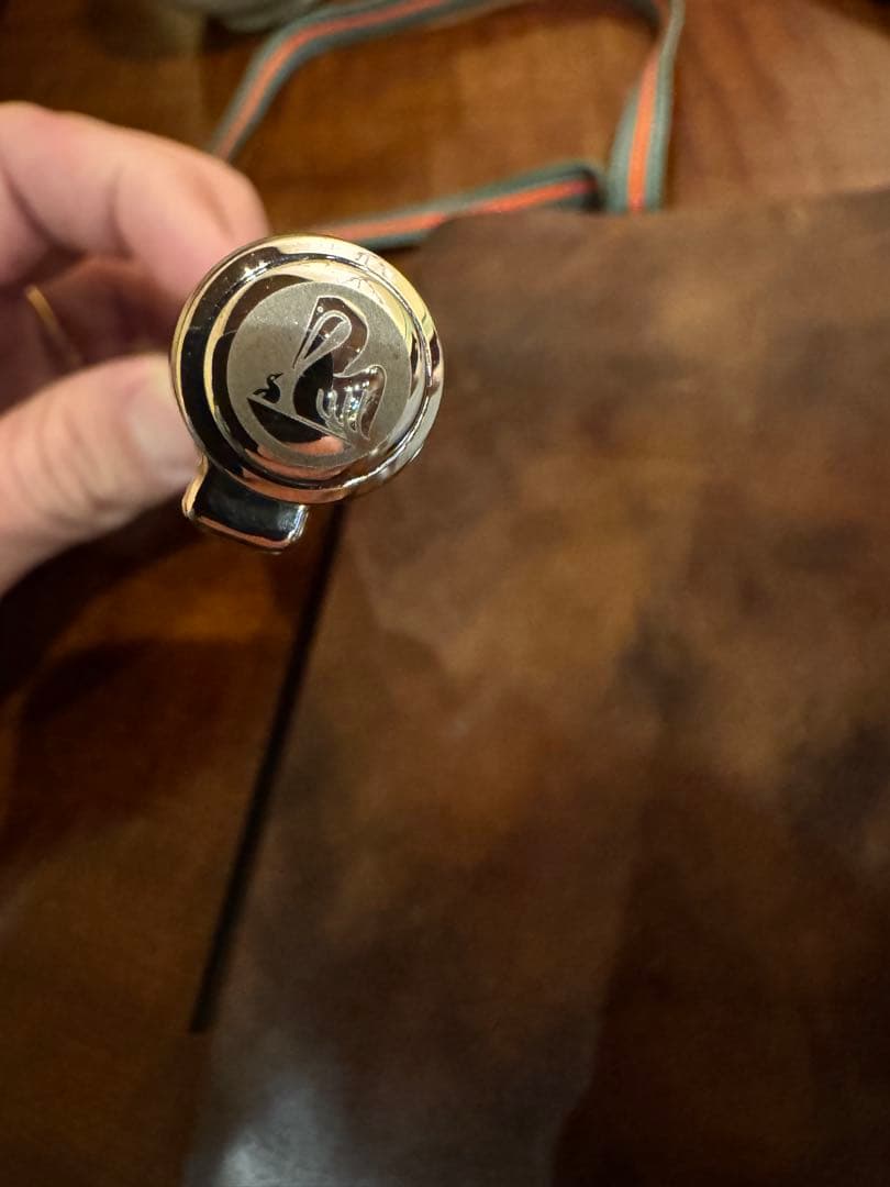 ペリカン　オーシャンスワール　EF 万年筆