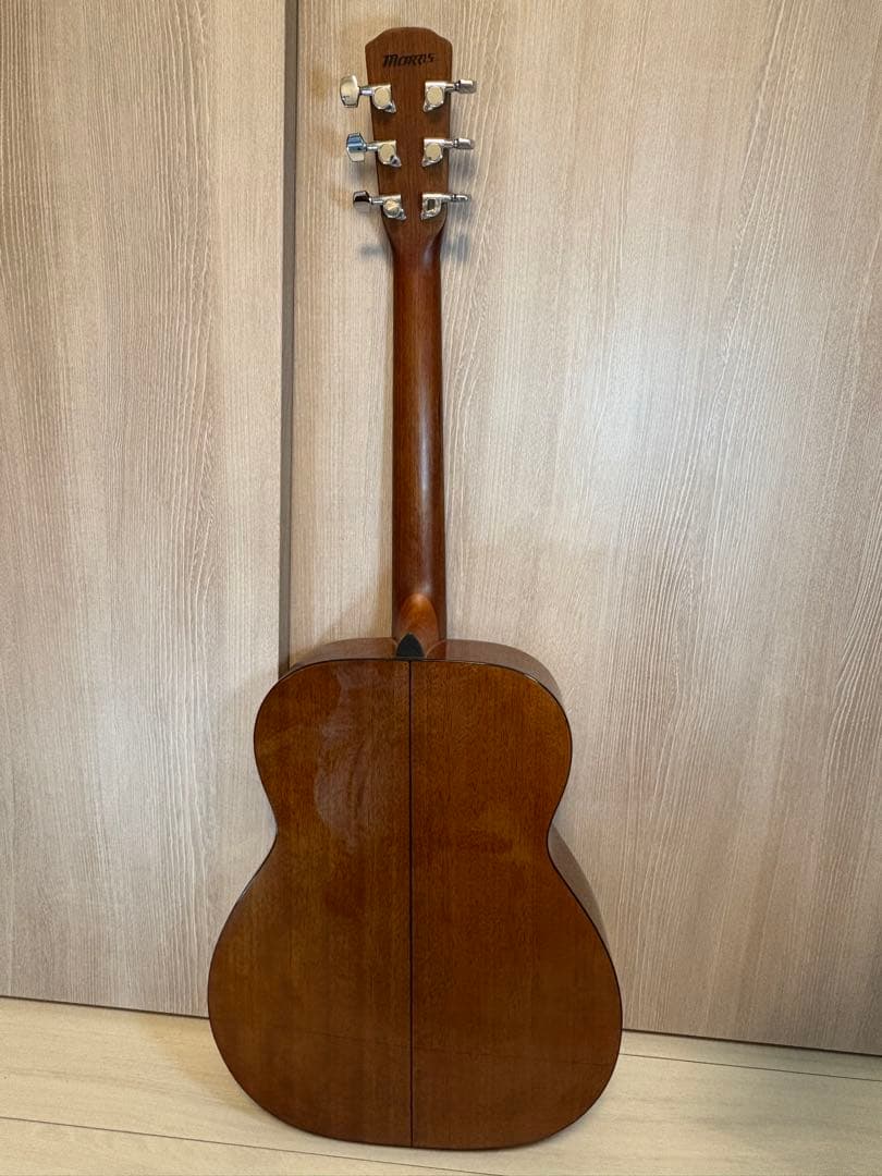 Morris M-66 アコースティックギター
