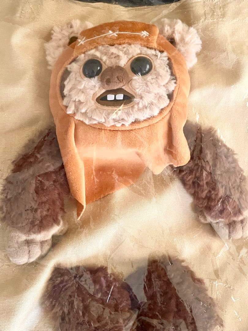 ★SWCJ2025現地購入！イウォークぬいぬいバッグ