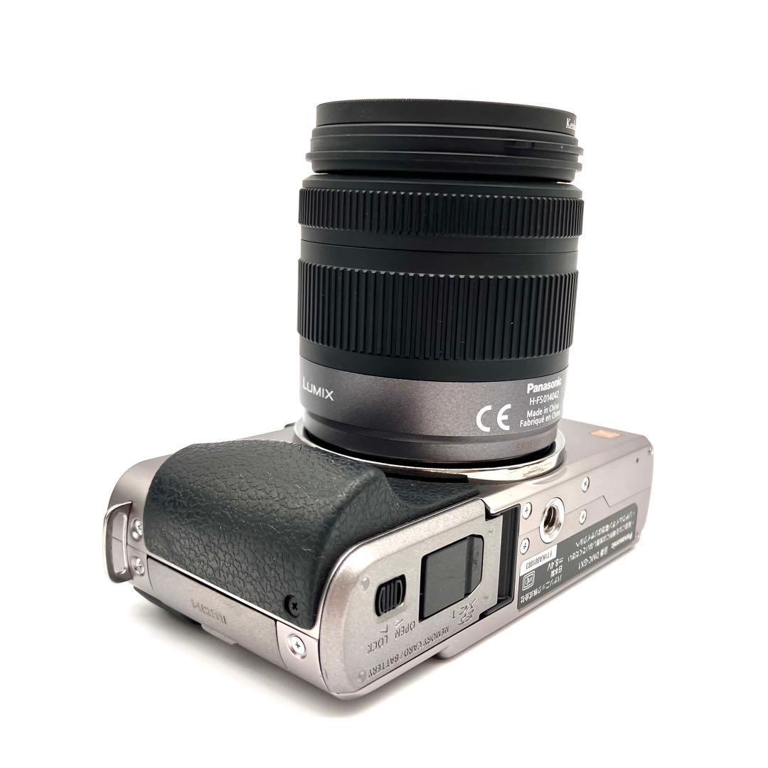 Panasonic DMC-GX1 14-42mmレンズセット