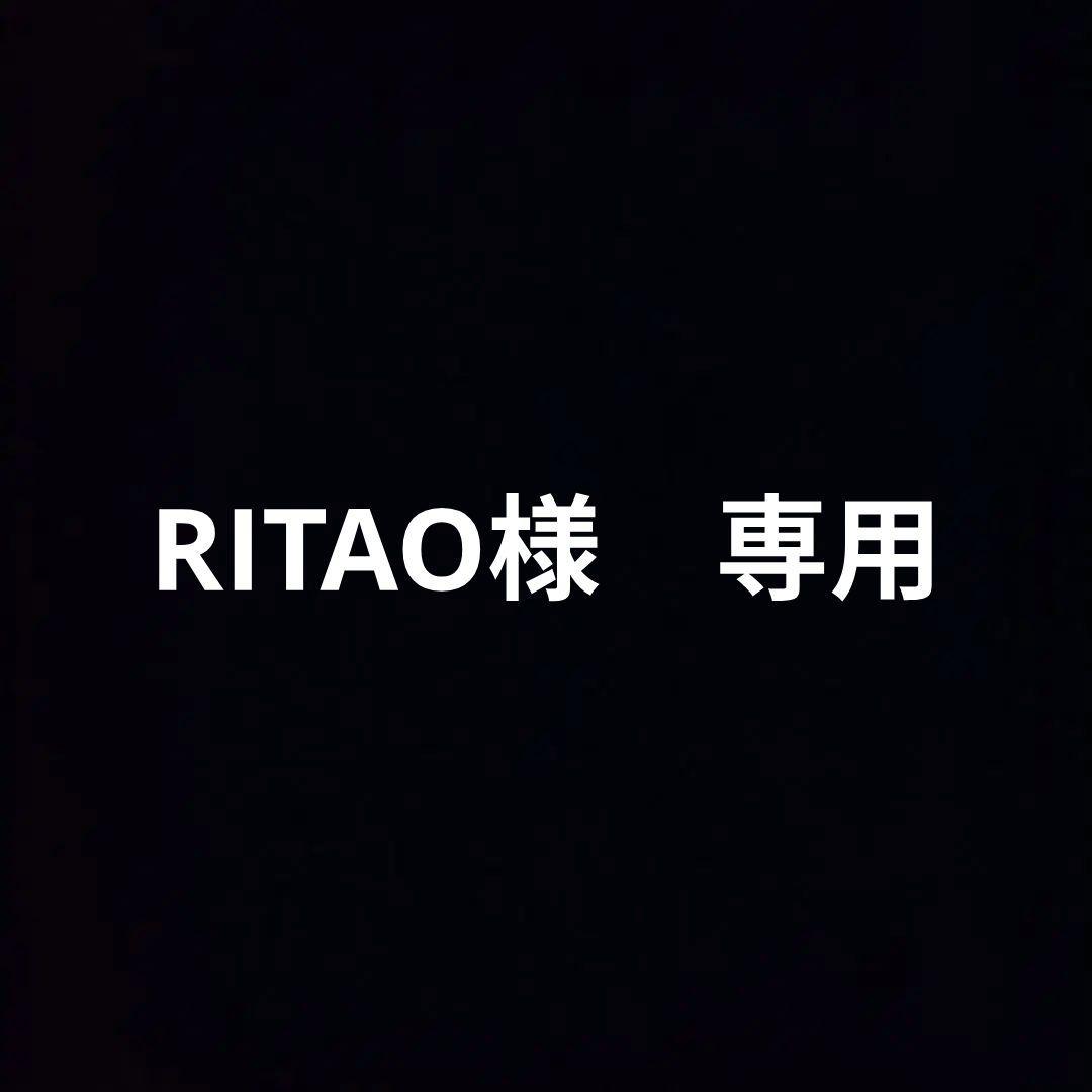 専用　Lounge Lizard 襟付　ライダース　レザー　　ホース　逆八の字