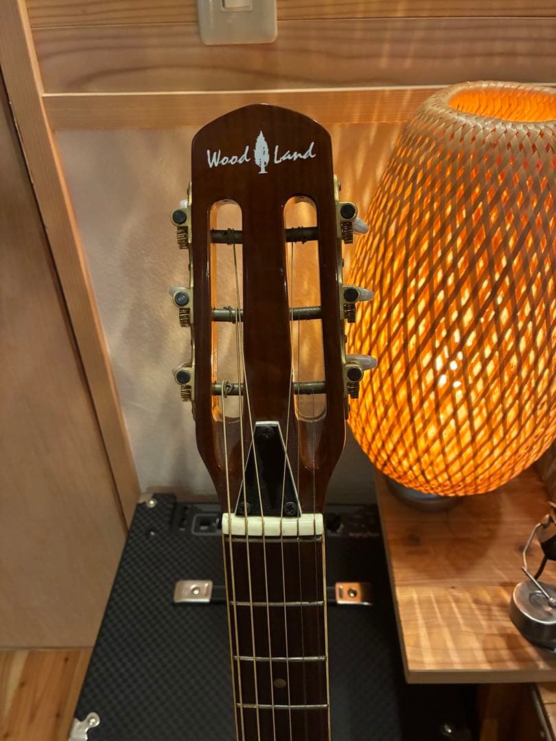 マカフェリタイプ　Wood Land WM-450 ジプシージャズギター