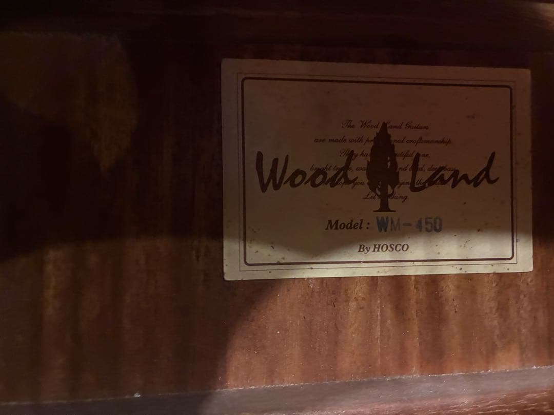 マカフェリタイプ　Wood Land WM-450 ジプシージャズギター
