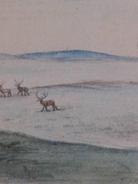 ティティアン・ピール、「CANIS LUPUS」、海外版超希少レゾネ、新品額付