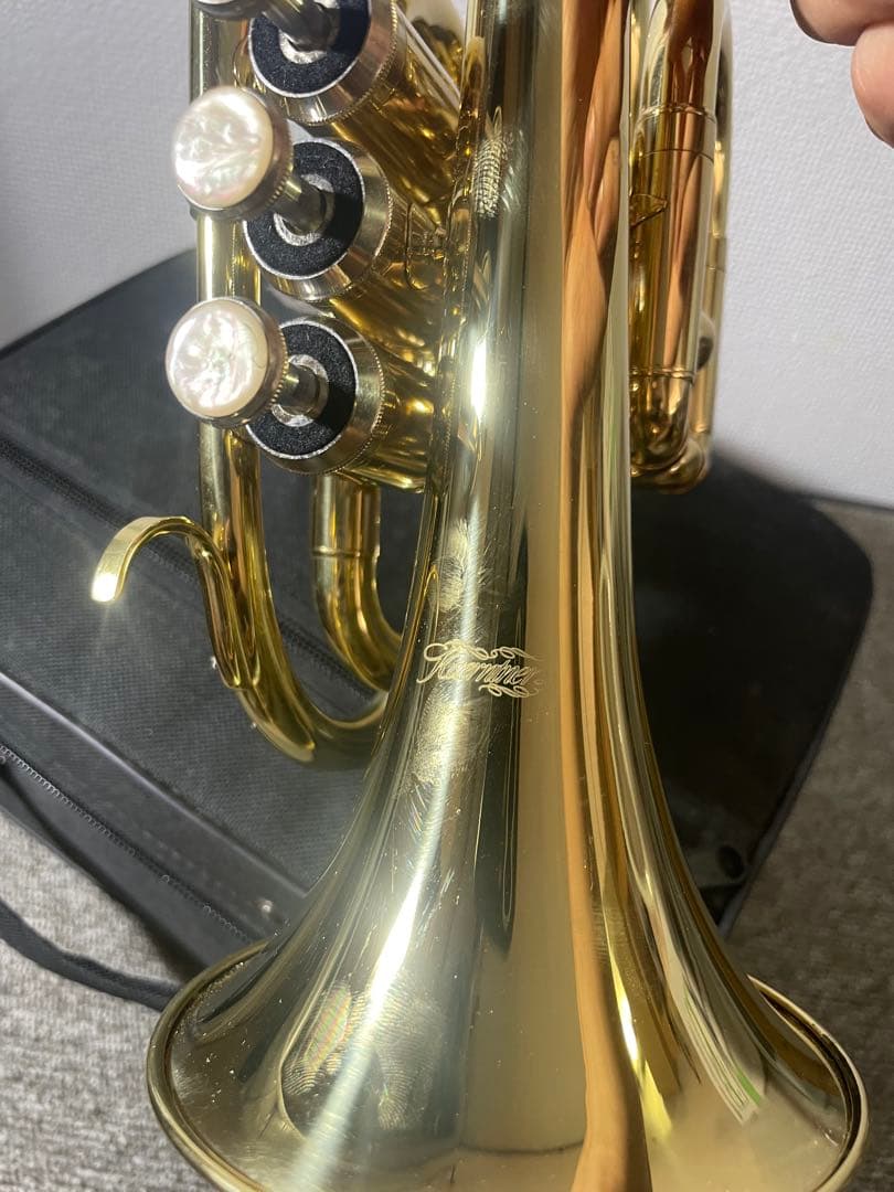 ケルントナーミニトランペット AY01108 (ケース付き)