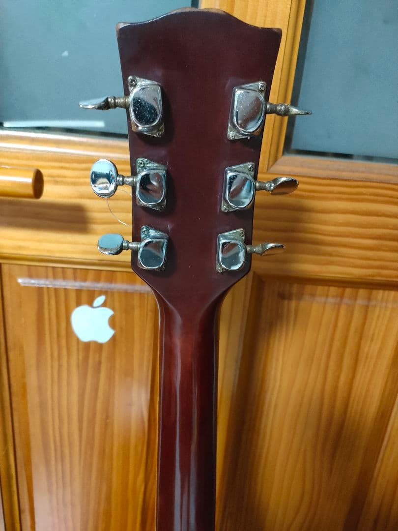 Pro Martin アコースティックギター（ぽん太さま）