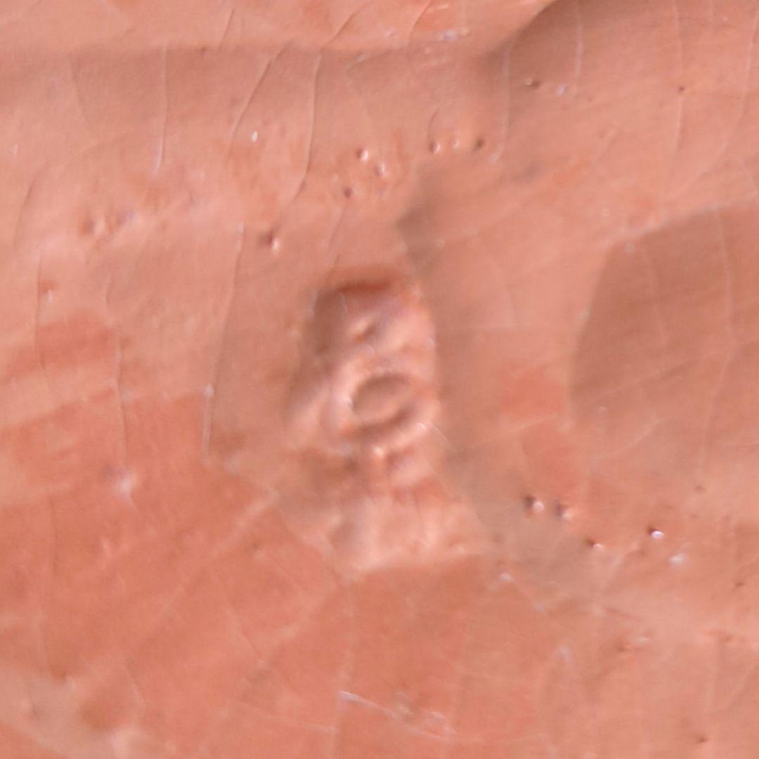 骨董茶道具　京焼　清水焼　醍醐窯　島荷平作　茶懐石　楽焼　赤楽　さざえ蓋物珍味入