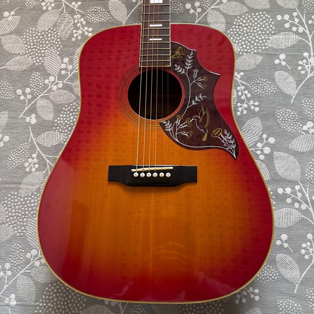 Morris WH 20 ハミングバードモデル