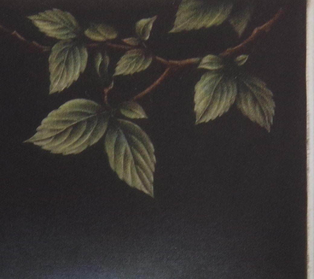 生田宏司　「若葉のころ　ヤマガラ」　　銅板画　２５×１４ｃｍ　真作　ｍｃ