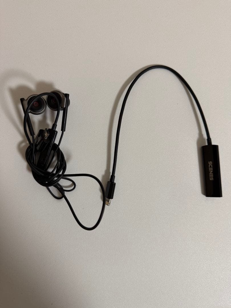 RolandCS-10EバイノーラルイヤホンマイクSCENES Lifelike