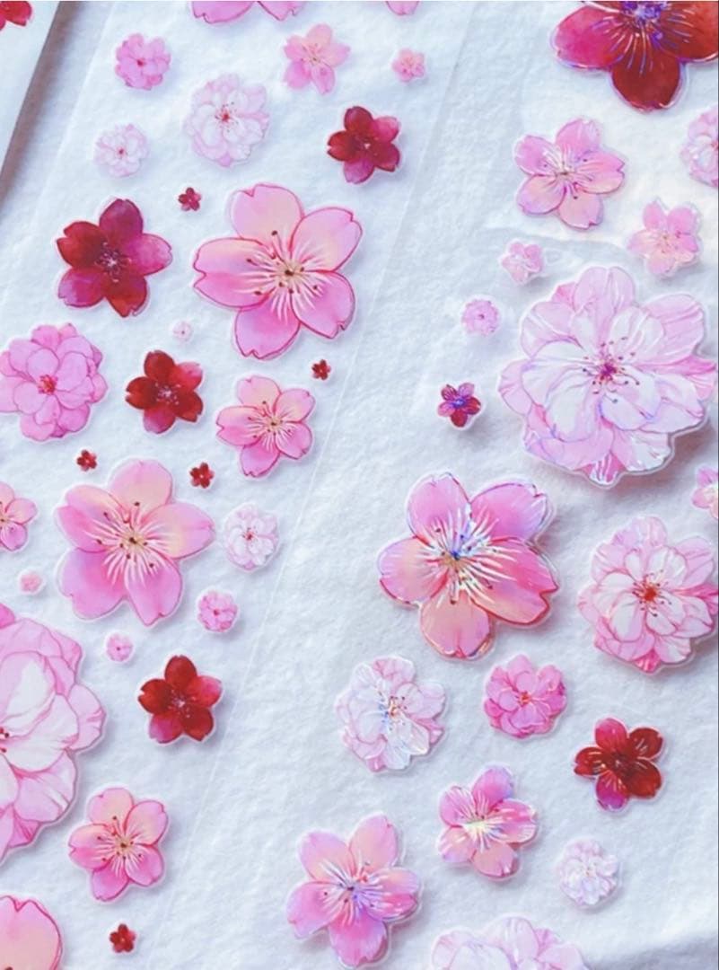 贝壳光 樱时 ダイカット加工 6cm×5m 海外マスキングテープ　海外マステ　桜