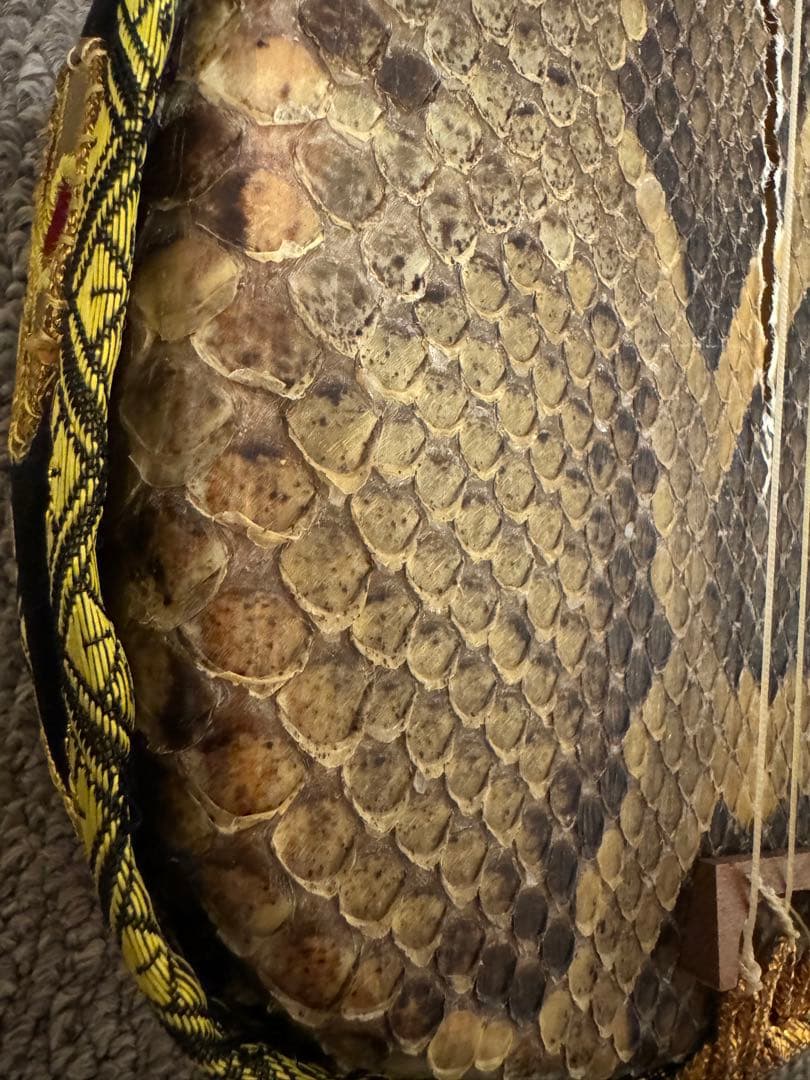 三線　沖縄　本蛇皮　和楽器