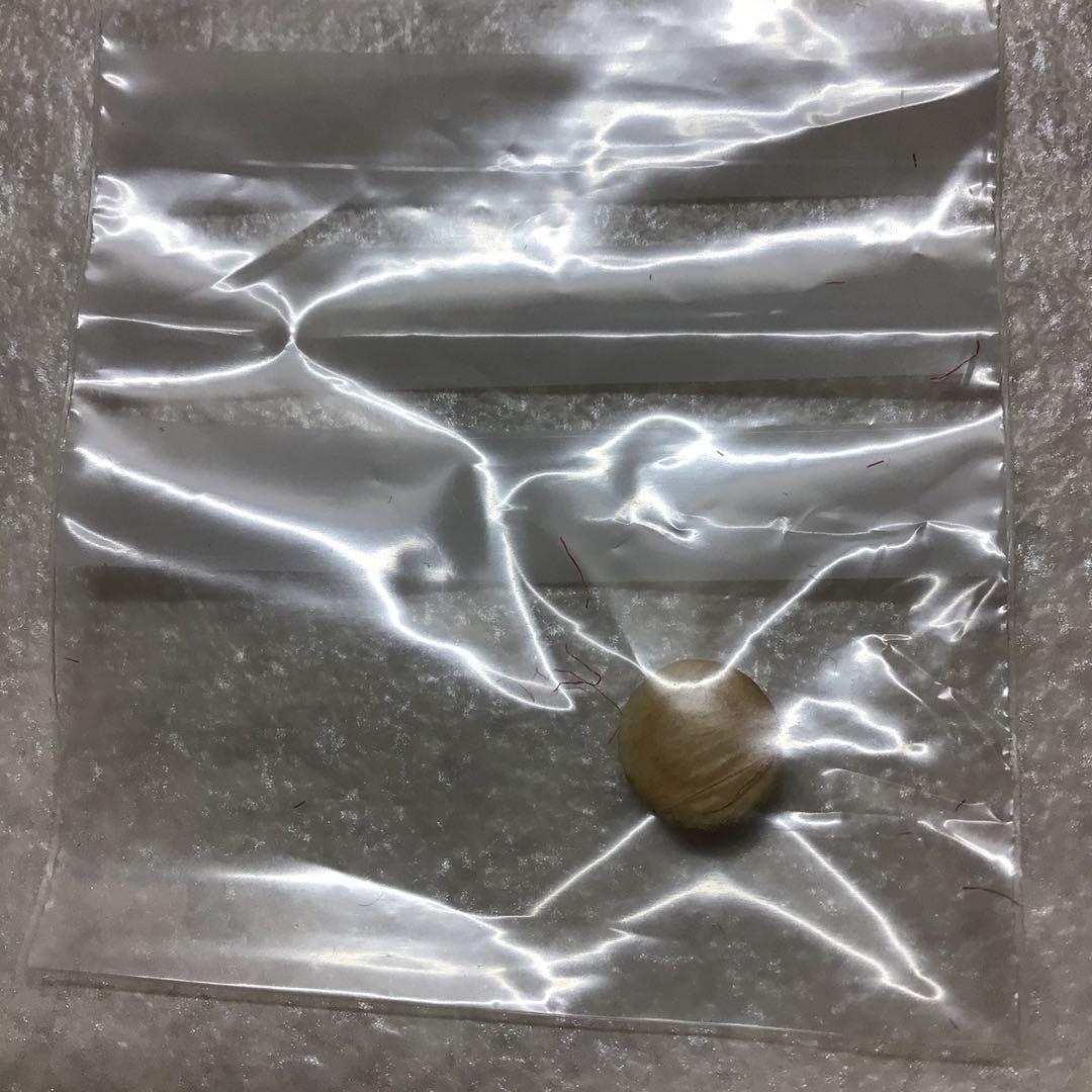 (36) YAMAHA ヤマハ　B♭クラリネット　YCL-351 程度良好