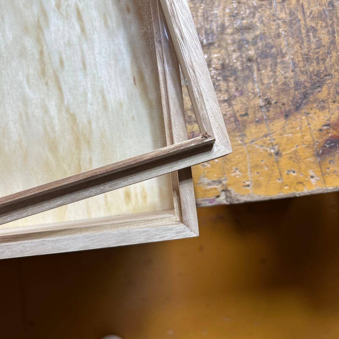 中型厚型標本箱　2箱