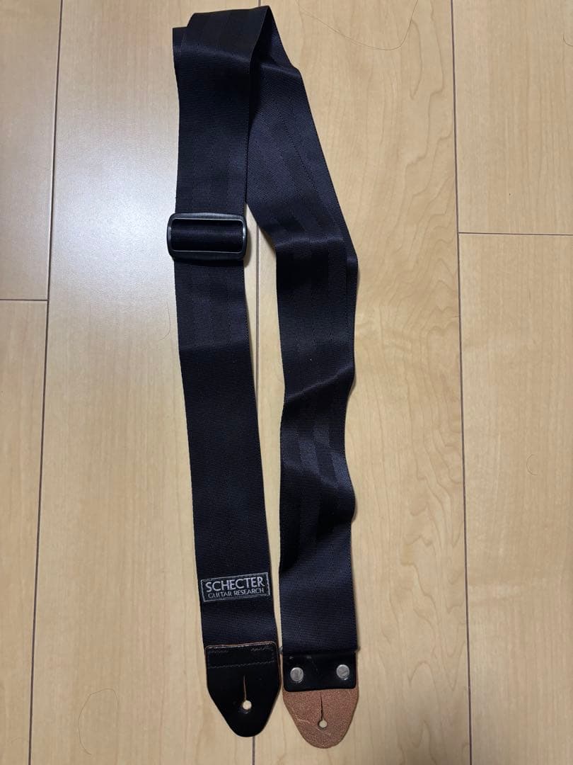 SCHETER SD-2 ピックアップ、ストラップ、ギグバッグおまけ付き