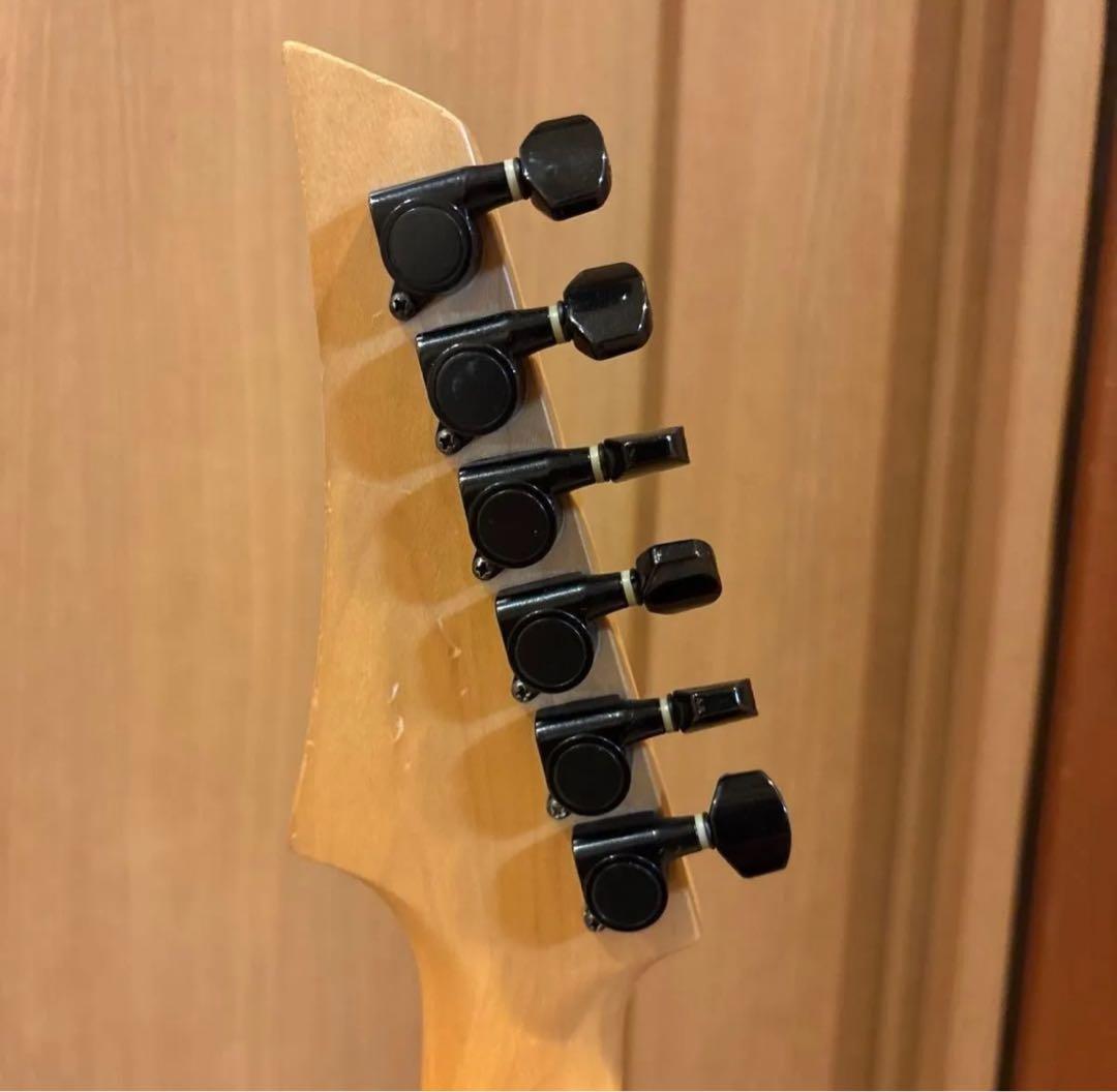 FERNANDES FGZ400 ブラックパーツ仕様 トレモロアーム・ケース付