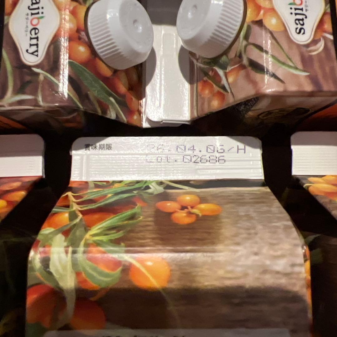 豊潤サジー1000ml×3本+300ml×2本