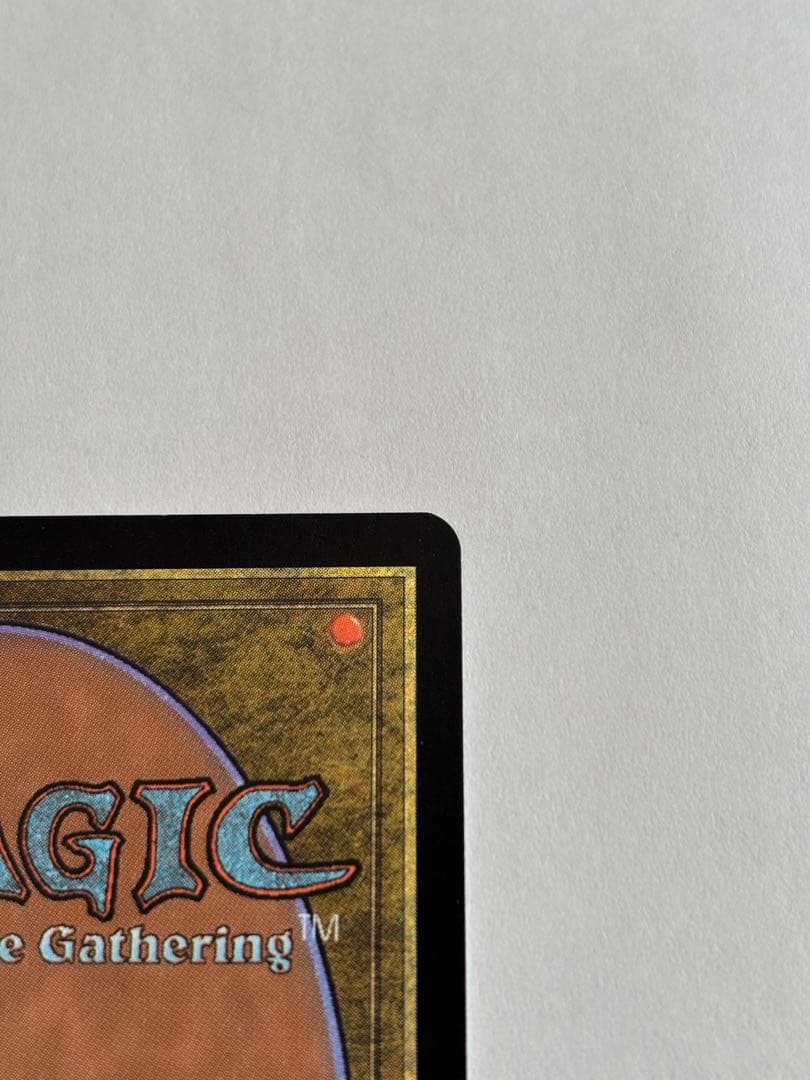 『MTG』森　グルランド　14