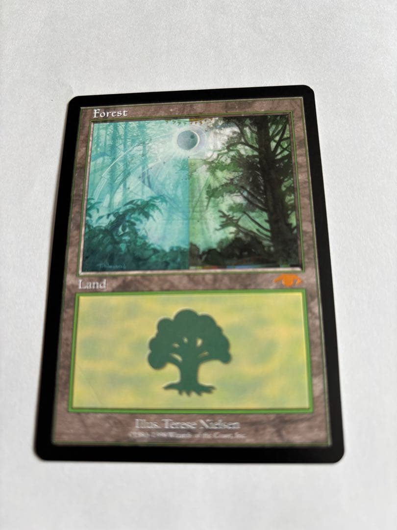 『MTG』森　グルランド　14