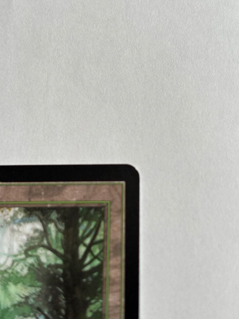 『MTG』森　グルランド　14