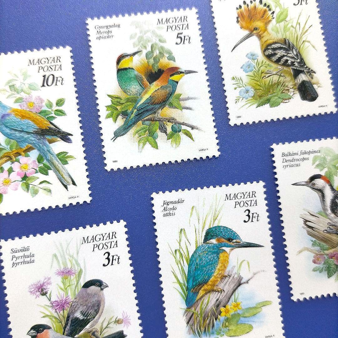 3772 外国切手 ハンガリー 1982年 鳥類保護 6種完 美しいデザイン
