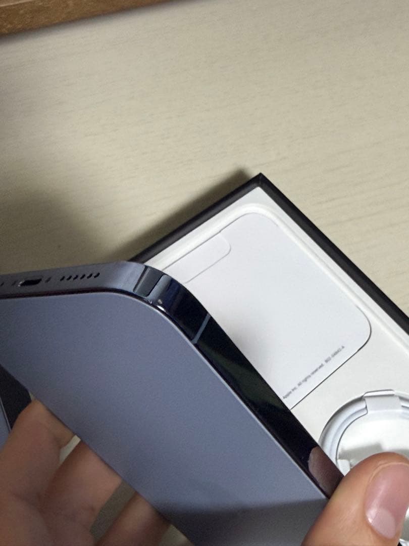 Apple iPhone 13 ProMax シエラブルー 本体　1TB