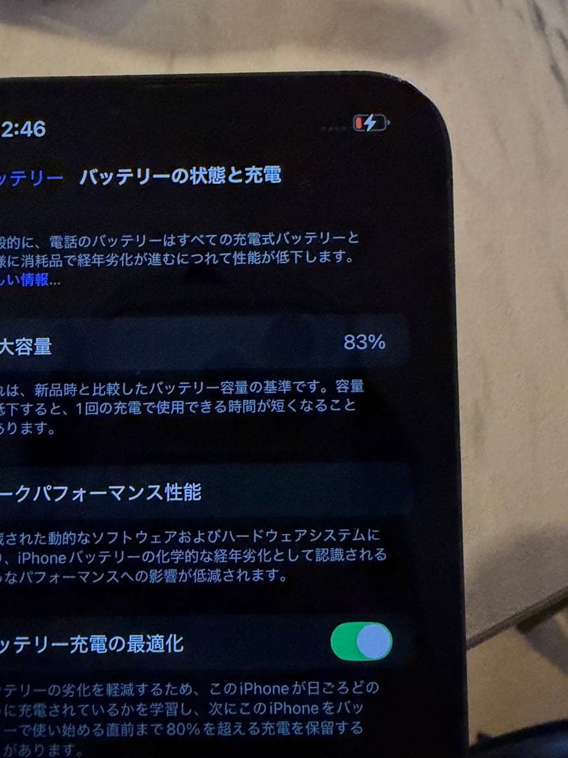 Apple iPhone 13 ProMax シエラブルー 本体　1TB