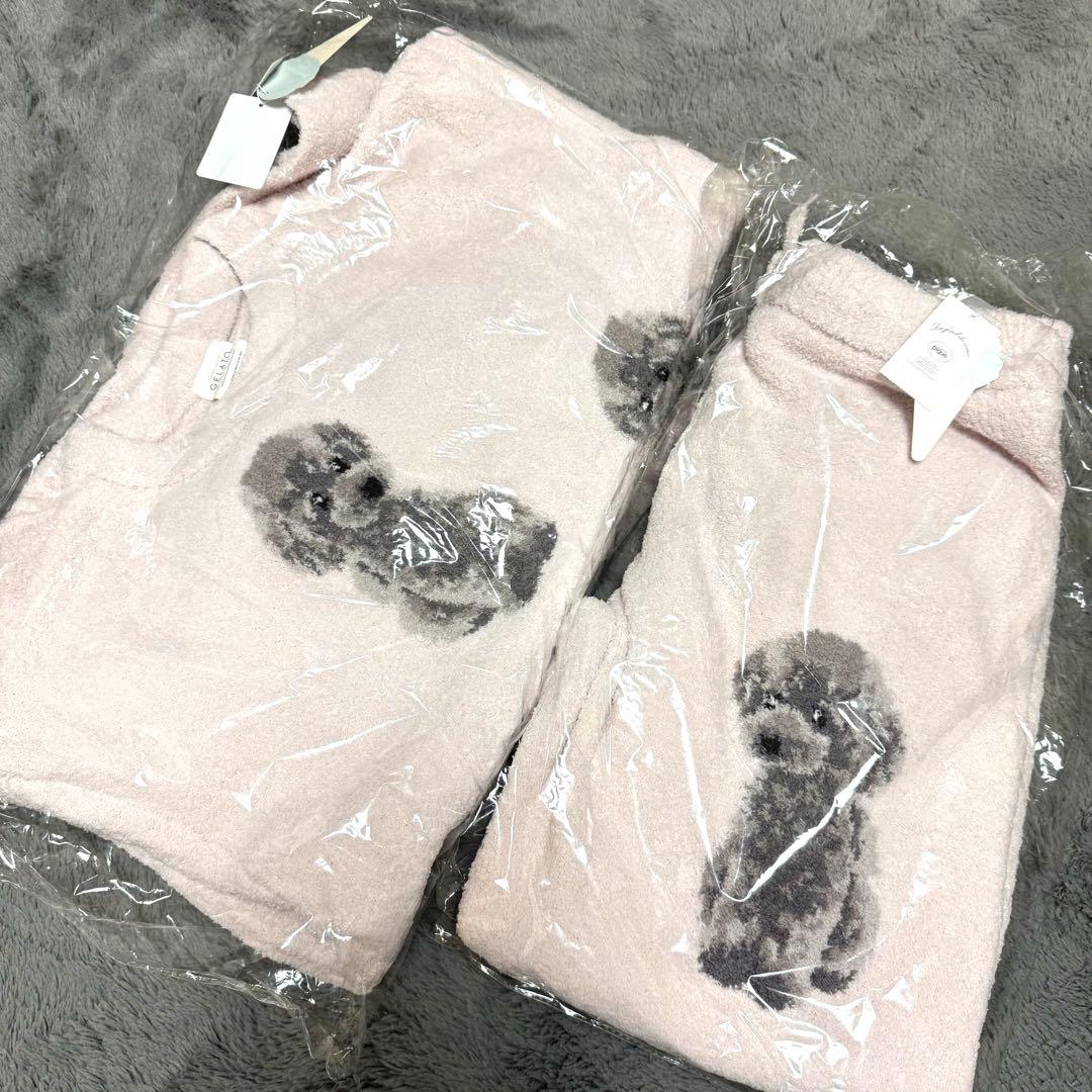 ジェラートピケ　トイプードル　ジャガード　プルオーバー　上下セット　限定品　新品