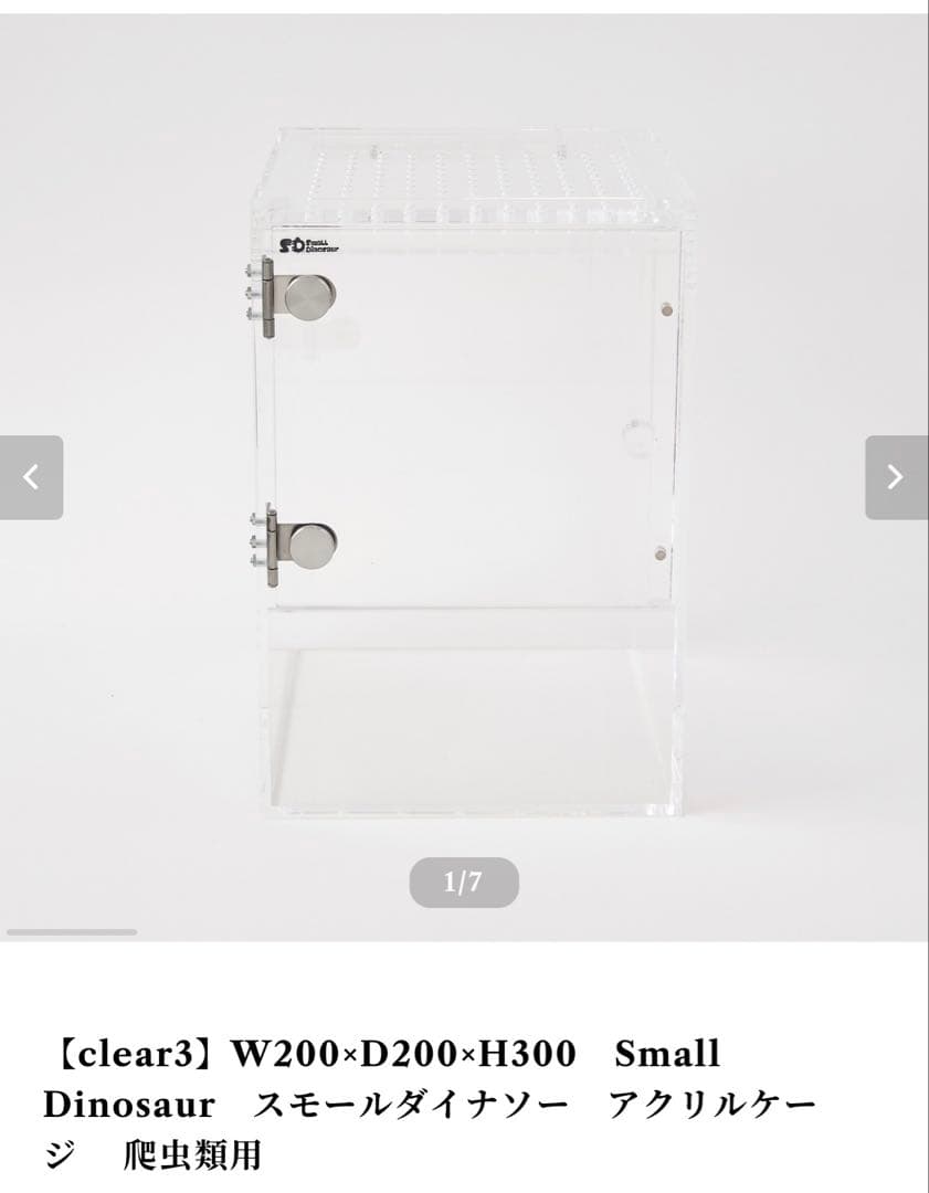 【clear3】W200×D200×H300　スモールダイナソー