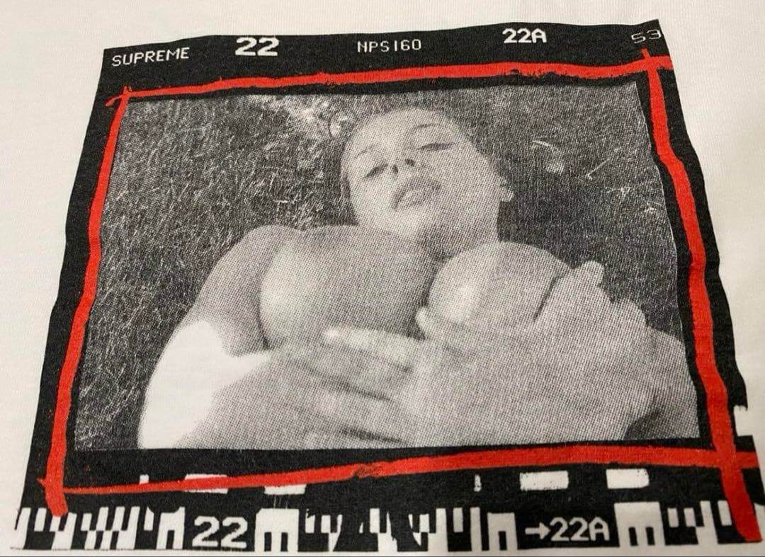 紅*ン様 【超激レアLサイズ】supreme テリーリチャード ヌードフォトグラ