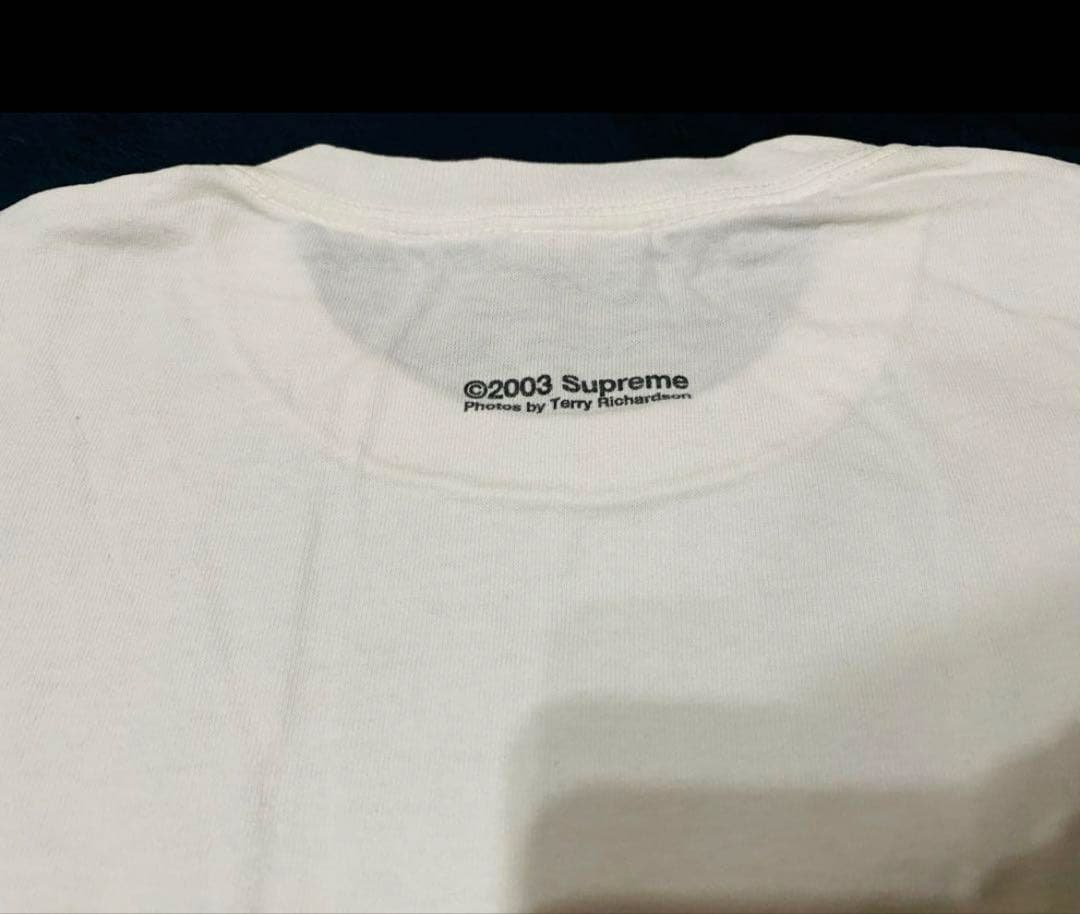 紅*ン様 【超激レアLサイズ】supreme テリーリチャード ヌードフォトグラ