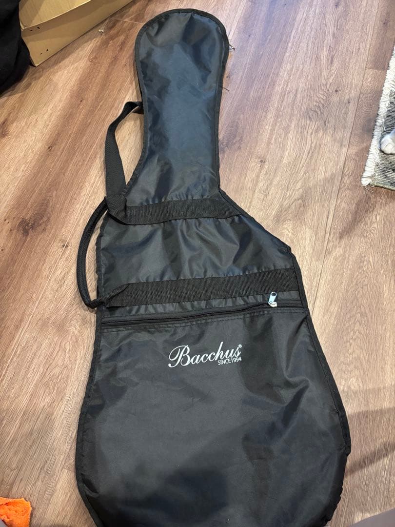 Bacchus Universe Series エレキギター ライトブルー