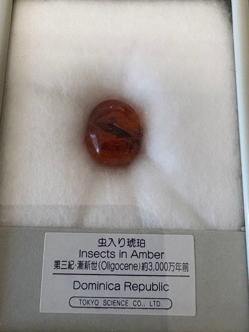 鉱石　虫入り琥珀　玉髄　トルコ石　ルチル　8点セット