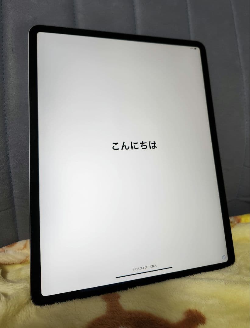 動作確認済み iPad Pro 12.9インチ 第3世代 64GB