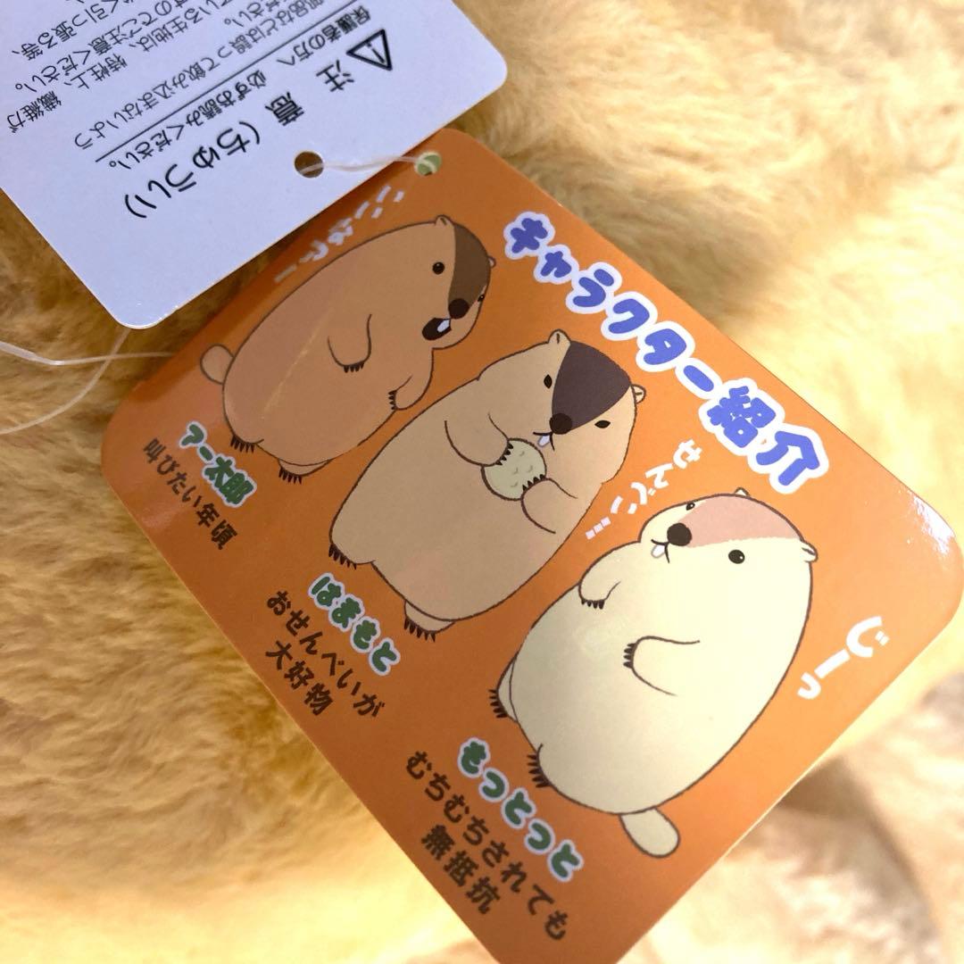 マーモットのもっとっと ウルトラBIGぬいぐるみ　BIG ぬいぐるみ　タグ付き