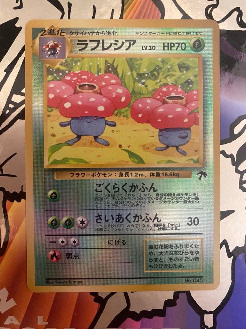 旧裏　ポケモンカード　サザンアイランドフルコンプ