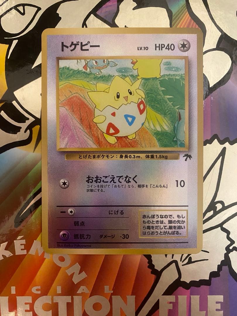 旧裏　ポケモンカード　サザンアイランドフルコンプ